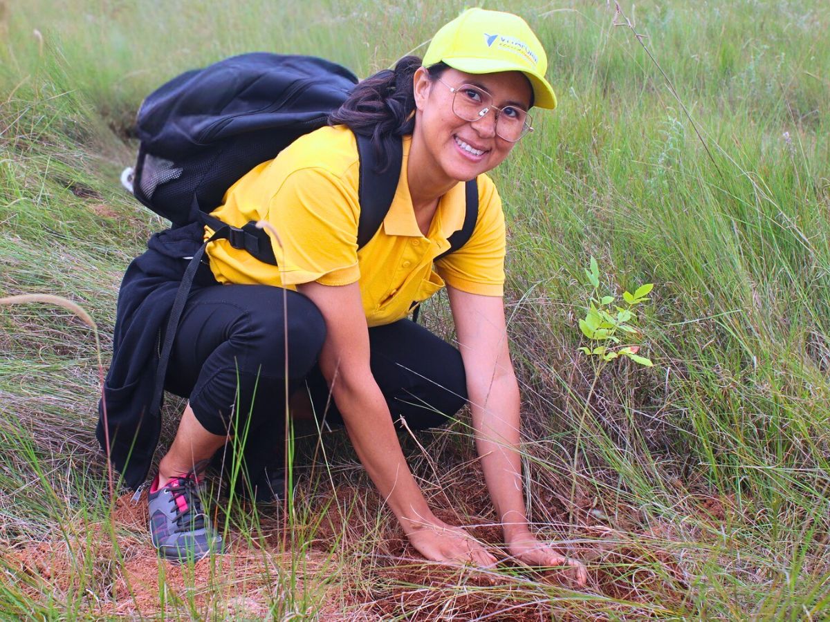 Employé Vitafoam en uniforme jaune plantant arbre, matelas écologique production durable
