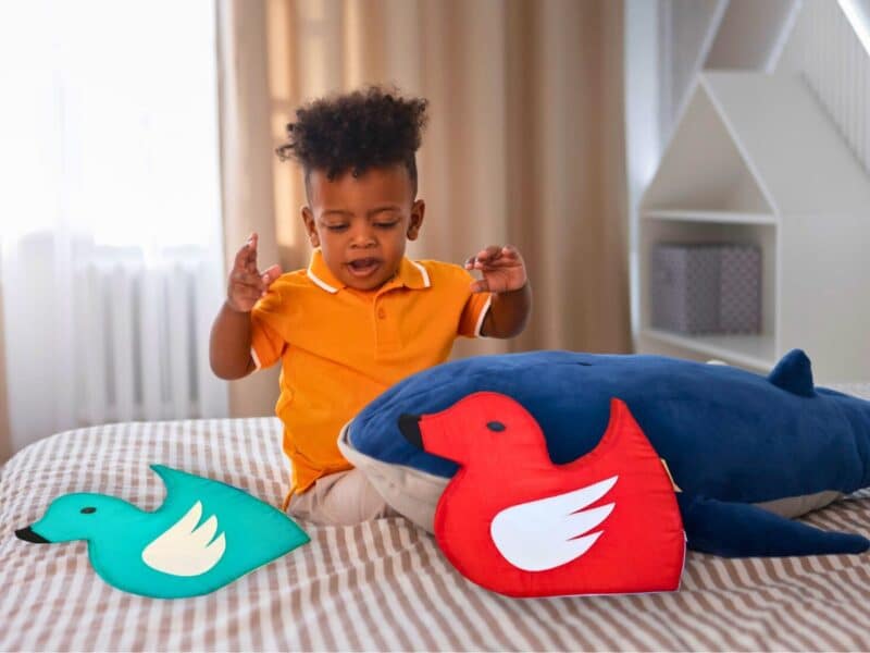Coussin Canard